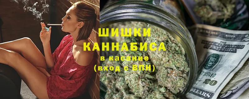 Шишки марихуана план  OMG как зайти  Махачкала 